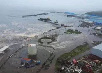 زلزال بقوة 8 درجات وتسونامي خطير يجتاح سواحل روسيا واليابان