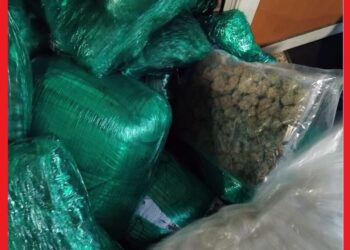 الشرطة المغربية تفكك محاولة تهريب 133 كلغ من الحشيش بمطار محمد الخامس