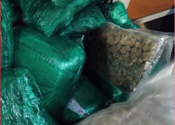 ضبط مخدرات داخل أمتعة كنديين في مطار الدار البيضاء