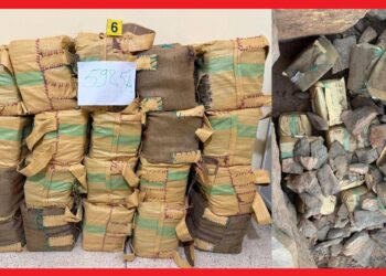 اليقظة الأمنية تُحبط محاولة كبرى لتهريب المخدرات