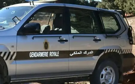 توقيف شخص ينحدر من تارودانت بعد ضبطه في عملية صيد غير قانوني ل “أوداد” بجبال أملن
