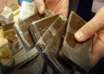 مصدر خاص يكشف تفاصيل عملية توقيف عجوز وبحوزتها 7 كيلوغرامات من الحشيش بتزنيت