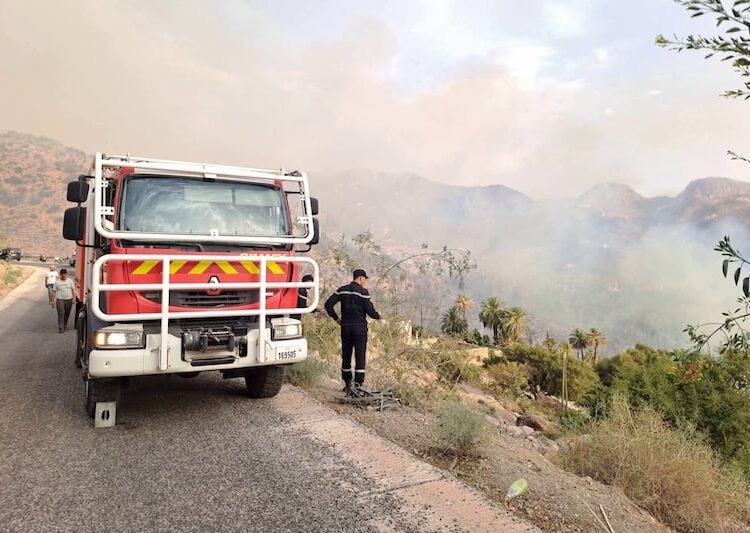 حريق “تاركانتوشكا” يلتهم أزيد من 6 هكتارات من النخيل في اشتوكة