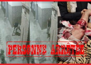 أكادير.. خلافات الجوار تقود لاعتداء بالسلاح الأبيض والشرطة توقف الجاني