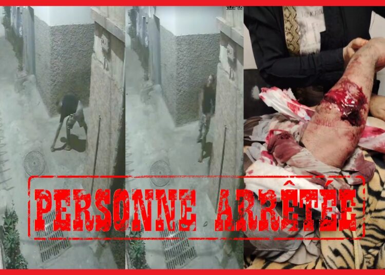 أكادير.. خلافات الجوار تقود لاعتداء بالسلاح الأبيض والشرطة توقف الجاني