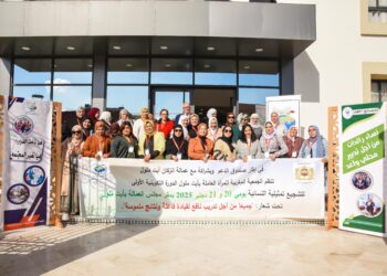 أيت ملول: تعزيز الريادة النسائية في تدبير الشأن المحلي محور دورة تكوينية متخصصة