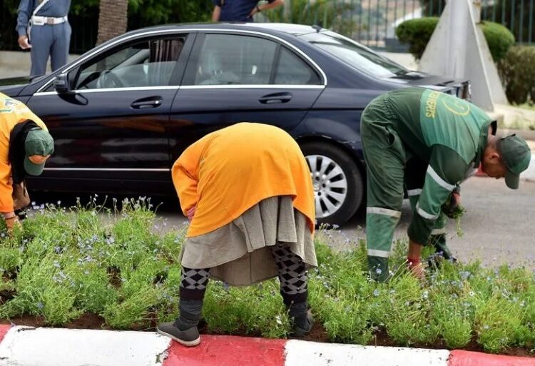 صراعات سياسية تعطل تعويض العمال العرضيين داخل جماعات ترابية