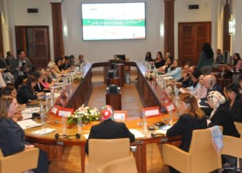 20 مليون درهم لتعزيز تمثيلية النساء.. انطلاق طلبات عروض النسخة الـ11 لصندوق الدعم