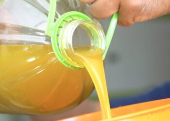 الزيوت النباتية بالمغرب.. معايير جديدة لتعزيز مراقبة الجودة