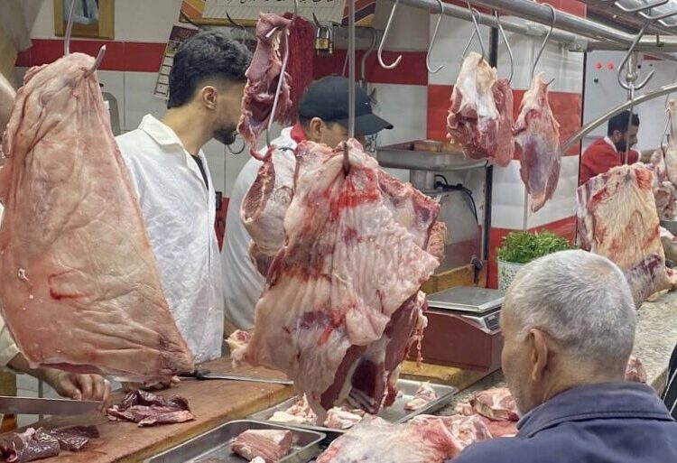 ارتفاع قياسي في أسعار لحوم الأغنام رغم دعم القطيع الوطني