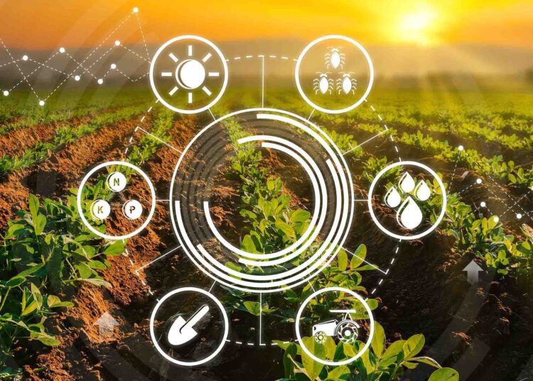 أكادير تحتضن الملتقى الدولي الأول للذكاء الاصطناعي والفلاحة