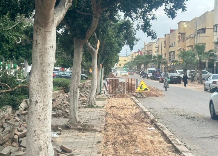 جماعة انزكان تطلق مشروع تأهيل الإنارة وشبكتي الصرف الصحي والماء الصالح للشرب بشارع “ابن بطوطة” بمايناهز 39 مليون درهم