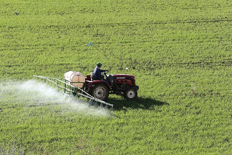 الموسم الفلاحي الاستثنائي يدفع توقعات النمو في المغرب إلى 5.6% خلال 2026